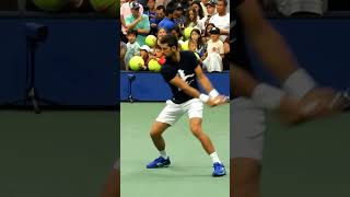 Novaks MASSIVE Backhand SlowMotion 😳 [upl. by Bernstein]