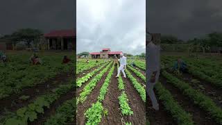 નવો વિડિયો જોયો કે નહિvillage villagelife villagevlog farming farm life lifestyle like old [upl. by Kcirej]