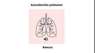 Ruidos respiratorios agregados  Roncus [upl. by Brandes]