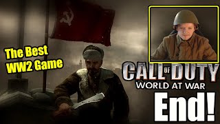 The End Of Nazi Germany Best WW2 Game Ending Ever COD World At War Historical Accuracy Mod Ending [upl. by Himelman]