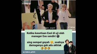 Damage Chanyeol dan Manager EXO😌  Tiktok [upl. by Ahsemrac]