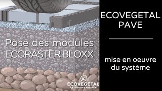 ECOVEGETAL PAVE  mise en œuvre du système [upl. by Wey85]