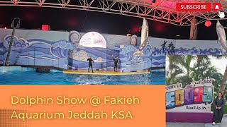 Dolphin Show  Fakieh Aquarium Jeddah KSA dolphin dolphinshow fakiehaquarium sealionshow ksa [upl. by Tlevesor989]