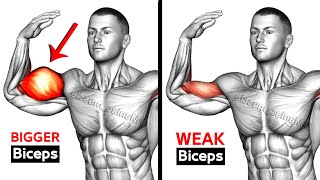 7 BEST Exercises for BIGGER BICEPS [upl. by Tergram]