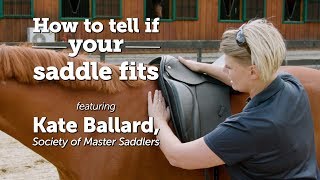 How to tell if your saddle fits  Kate Ballard Society of Master Saddlers [upl. by Aeynod]