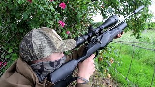 The Airgun Show  pigeon jackdaw and rabbit hunt PLUS the Pellpax Crowbuster spring gun combo… [upl. by Godspeed]