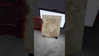 Moo Deng Lithophane Test [upl. by Jestude92]