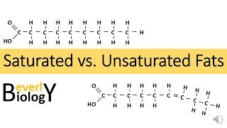 Saturated vs Unsaturated Fats [upl. by Neeneg]