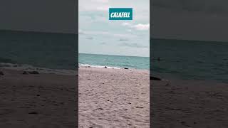 Calafell espagnaespagne travel plage calafell explore song [upl. by Kcoj828]