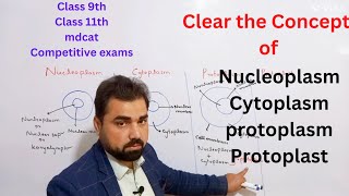 Difference between nucleoplasm  cytoplasm  protoplasm  protoplast  class 11 in urdu  hindi [upl. by Seth]