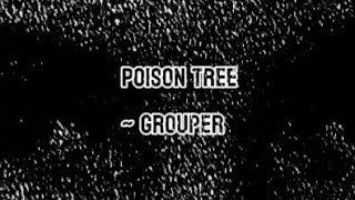 Poison Tree No Lyrics  Grouper [upl. by Nebeur]