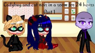 Ladybug and cat noir in a room with hawkmoth for 24 hours part 1 [upl. by Eiryt]