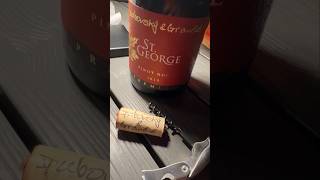 Dubovský amp Grančič St George Pinot Noir 2020 Vo víne je pravda [upl. by Merwin440]