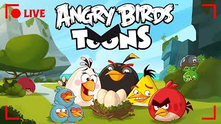 🔴 LIVE Angry Birds Party  Toons Season 1 All Episodes [upl. by Lorens834]