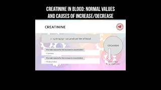 Creatinine in blood normal values level and causes of increasedecrease creatinine cachexia [upl. by Kinom]