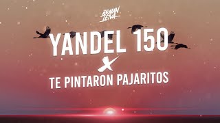 YANDEL 150 x TE PINTARON PAJARITOS MASHUP  Braian Leiva [upl. by Mendes77]