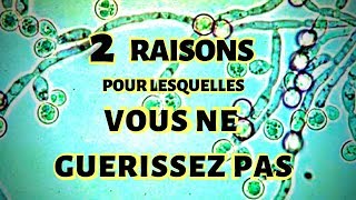 2 RAISONS POUR LESQUELLES VOUS NE GUÉRISSEZ PAS HYPOTHYROÏDIE ET ACIDITÉ GASTRIQUE [upl. by Kwok]