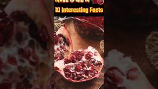 10 Amazing Facts about Pomegranate Food Facts shortsvideoshorts [upl. by Erdnassac]