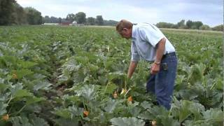 E MEDIEMA amp SONS 2011 MICHIGAN VEGETABLE COUNCIL MASTER FARMER AWARD RECIPIENT [upl. by Patrick]