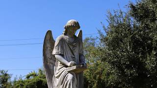 Natchez City Cemetery [upl. by Nylessej]