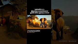 விரட்டிய யானை ஓடிய மக்கள் ytshorts shortsfeed ytstudio funnyanimals funnyshorts tamil fun [upl. by Rehpetsirhc]