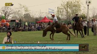 GALOPANDO NUESTROS PAGOS  RUEDA EN CATEGORÍA CUERO TENDIDO [upl. by Llednar]