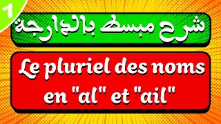 شرح مبسط بالدارجة لدرس Le pluriel des noms en al et ail [upl. by Madora]