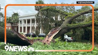 100year old tree falls on Florida governors mansion [upl. by Juley]