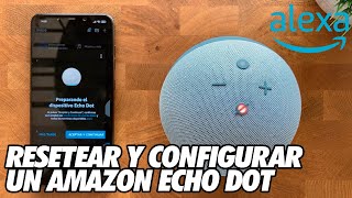 Como Resetear y Configurar un Amazon Echo Dot  Altavoz Alexa [upl. by Chadbourne887]