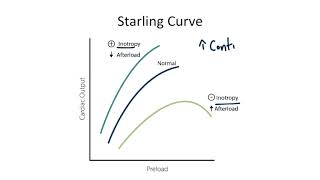 Starling Curve for the USMLE Step 1 [upl. by Javier245]