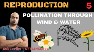 POLLINATION THROUGH ABIOTIC AGENTS [upl. by Delmar]