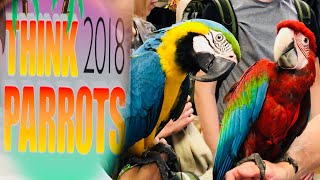 Think Parrots Show 2018  Mikey The Macaw [upl. by Narf256]