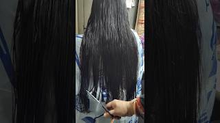 ✨ UShape Haircut Transformation ✂️  Long to Fab in Minutes  haircuttingtipst hairstyleshorts [upl. by Chaille]