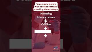 basics of cell culture introduction to cell culture unveiling biotechnology [upl. by Jo Ann718]