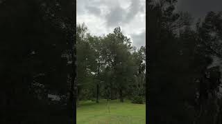 600 pm Hurricane Helene from Dunnellon FL [upl. by Zalucki]