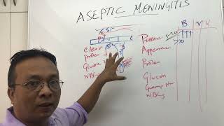 Aseptic Meningitis and CSF analysis [upl. by Lajet731]