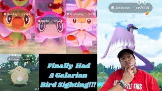 More New Dynamax Pokémon  Pokémon GO [upl. by Sylram]