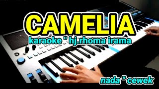 kamelia  rhoma irama  Karaoke Lirik Tanpa vocal by jampang pbg  psrs670 [upl. by Suzetta]