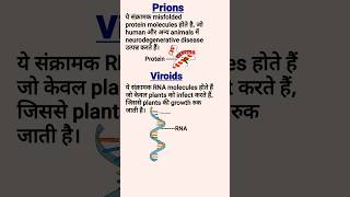 Prions Viroids Virus and Virion  Difference between prions and Viroids [upl. by Waldo178]