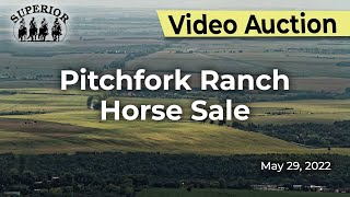 Pitchfork Ranch Horse Sale [upl. by Isbel]