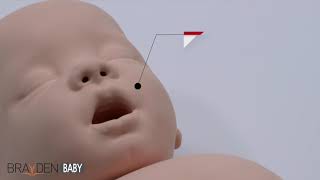 Brayden Baby  Illuminating Infant CPR Overview [upl. by Suzzy]