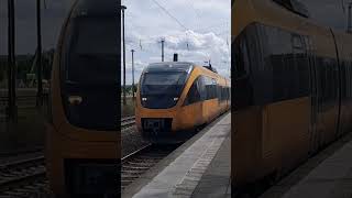 Ausfahrt von RB12 nach Templin Stadt in Oranienburg August2024 [upl. by Alyak371]