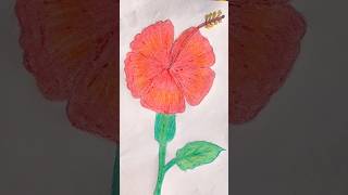 easy flower drawing🏵️ colourdrawing🎨🖌️ drawing art trending viralshort [upl. by Nalra454]