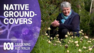 The best native groundcover plants for your garden  Australian native plants  Gardening Australia [upl. by Kathi]