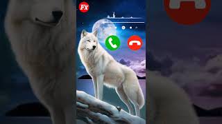 wolf howling sound effect💥💯fxtone music song wolfsounds dangeres shorts viral trending [upl. by Tabbi]