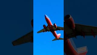 Stunning Southwest  Boeing 737 Takeoff from Reagan National Airport DCA plane shorts [upl. by Rufe]