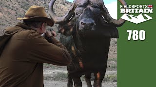 Fieldsports Britain – How to stop a charging buffalo [upl. by Meridith]