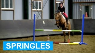 Jumping lesson  FAIL  felinehoi [upl. by Kristel]