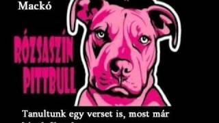 Rózsaszín Pittbull  Metál Mackó Zeneszöveggel [upl. by Luahs]