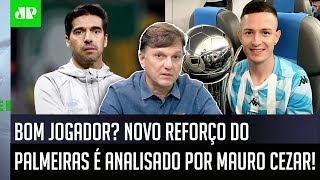 quotESSA É UMA BOA CONTRATAÇÃO Mas o Palmeiras PRECISAquot NOVO REFORÇO é ANALISADO por Mauro Cezar [upl. by Doner825]